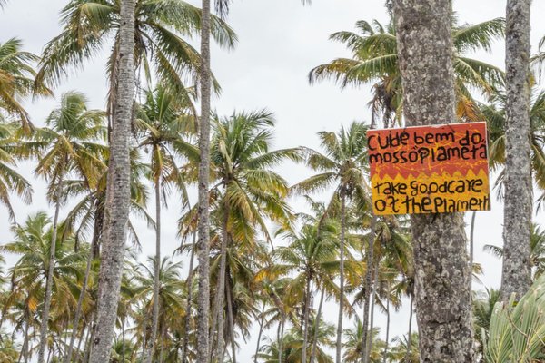 Les Retombées Économiques du Carnaval de Nice : Un Boost Inattendu pour la Région